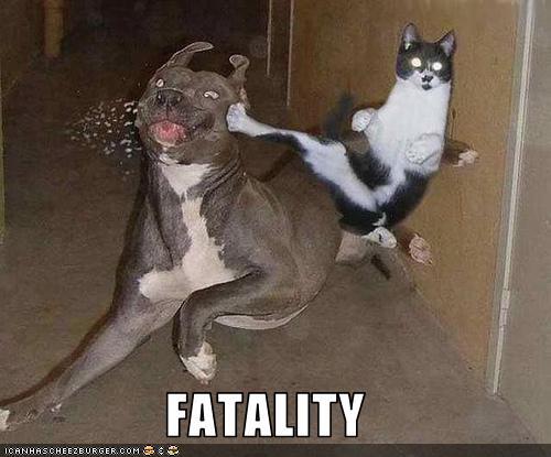 MORTAL KOMBAAAAT !!