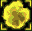 Starcraft : Irradiation