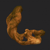 Biomass