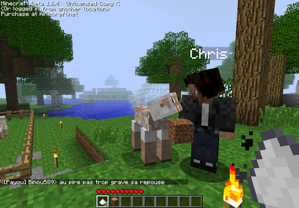 Chris en tête à tête avec un mouton