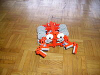 crab_01