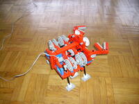 crab_02