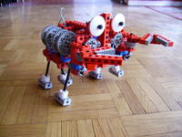 crab_03