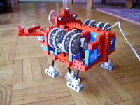crab_04