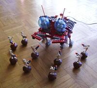 crab_06