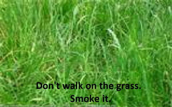 don't wlak on the grass smoke it