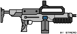 Fusil d'assaut D-21