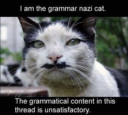 grammar-nazi-cat