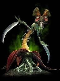 images (3)
